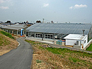 farm
